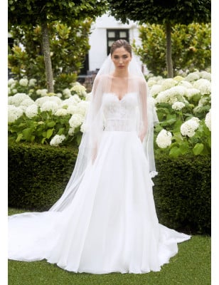 copy of Andrea Sedici